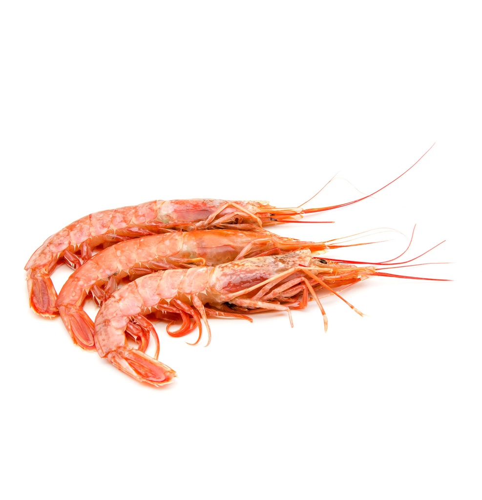 Gambón (langostino austral)