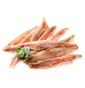 Anchoa